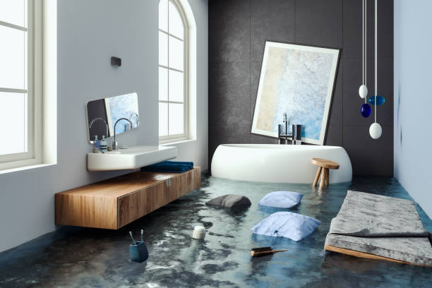 Best Professional water damage repair  in Hancock, MD