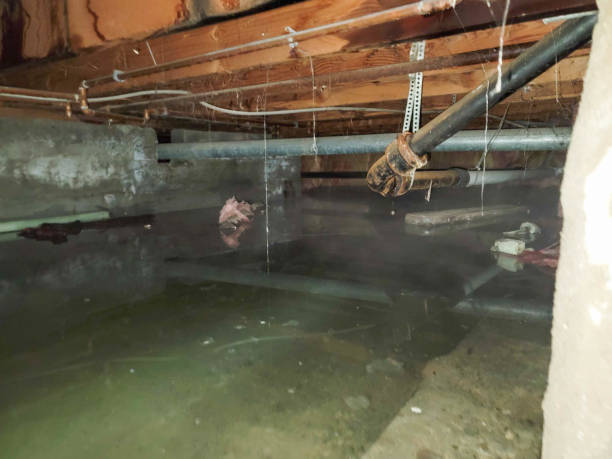 Best Flooded house restoration  in Hancock, MD