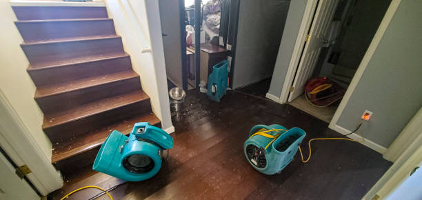 Best Water damage restoration near me  in Hancock, MD