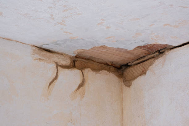 Best Water damage mitigation services  in Hancock, MD