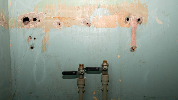 Best Local water damage restoration  in Hancock, MD