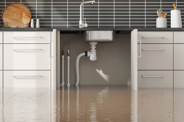 Best Water damage restoration near me  in Hancock, MD